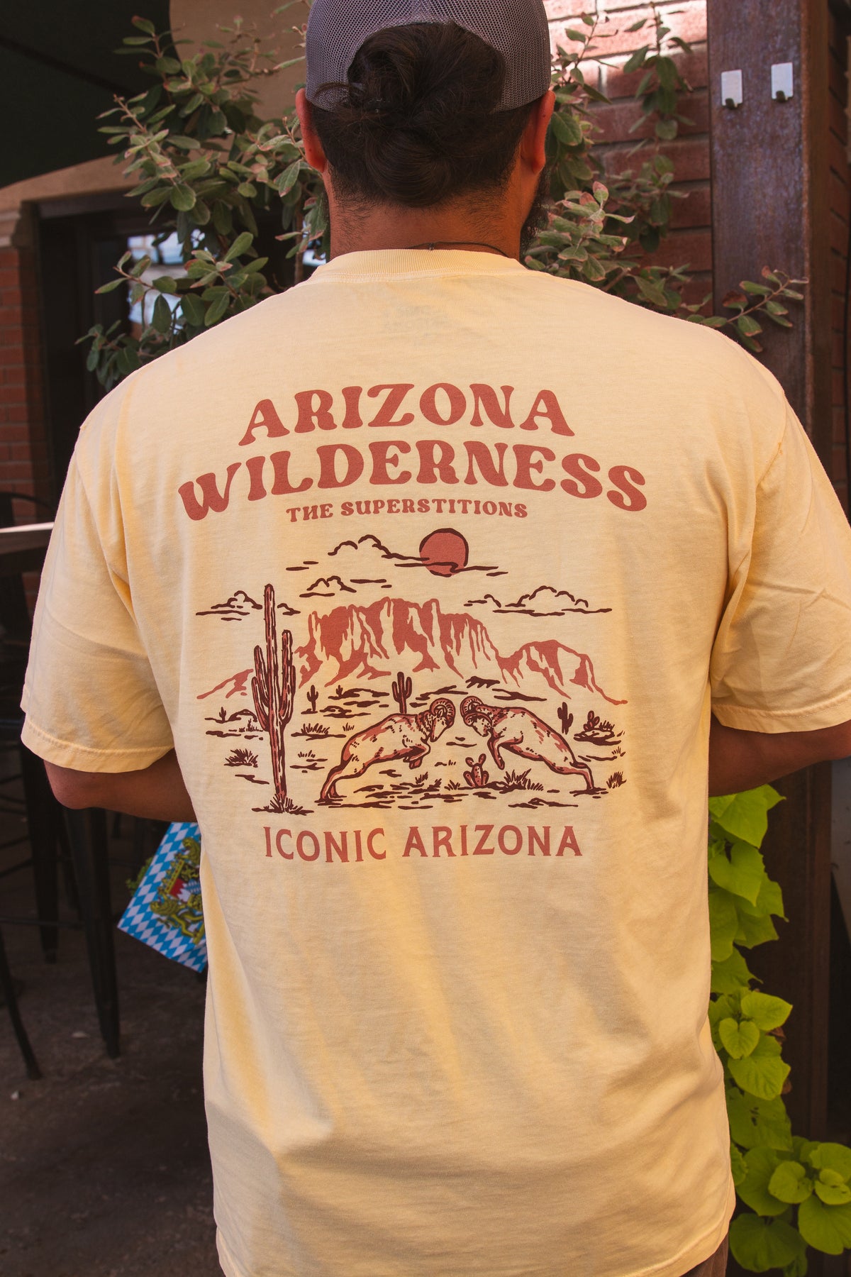 Iconic Arizona - The Superstitions